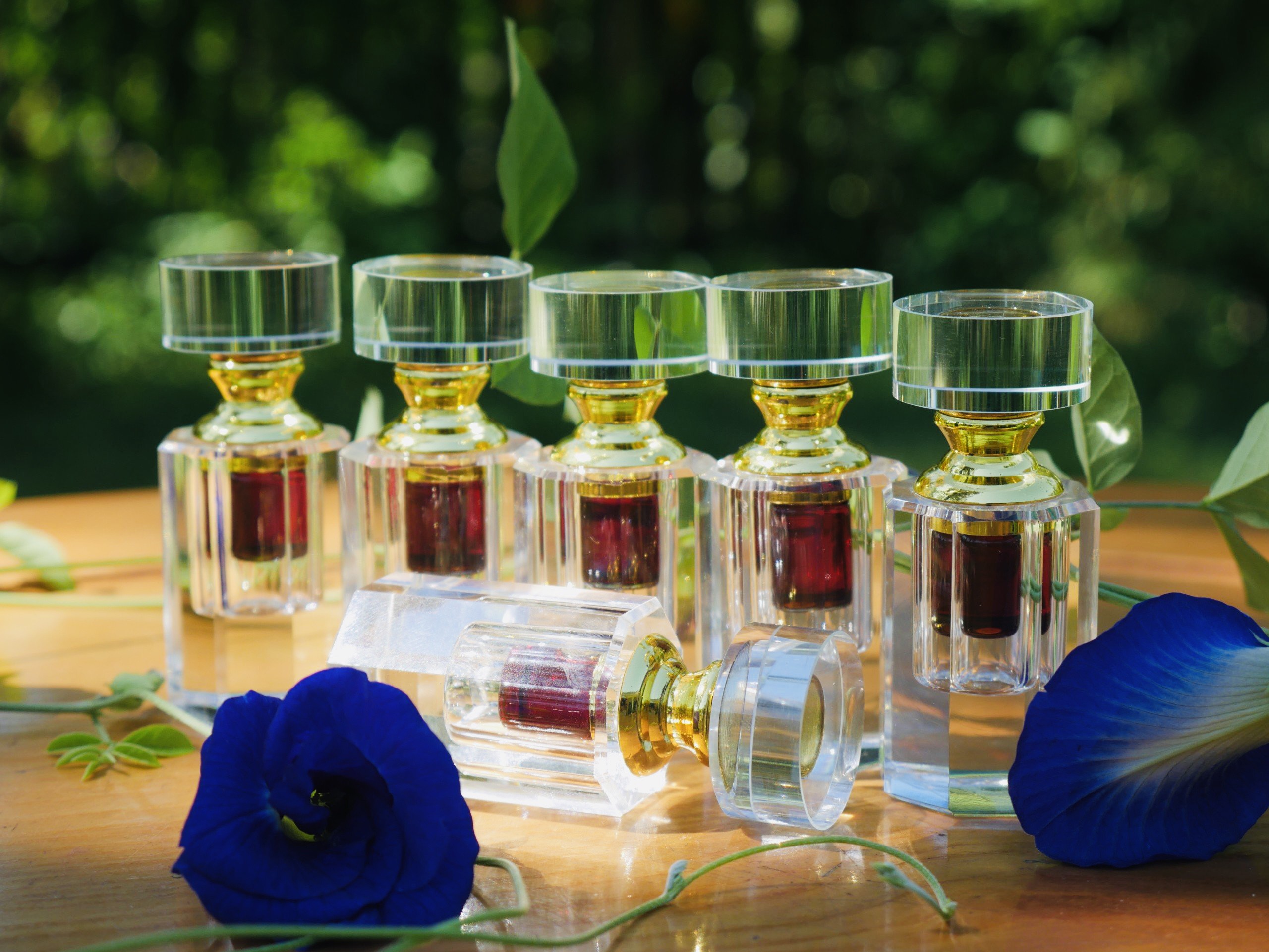 z5691306837518_fe7701f2411bf4fbcc0f31c81956d9e4