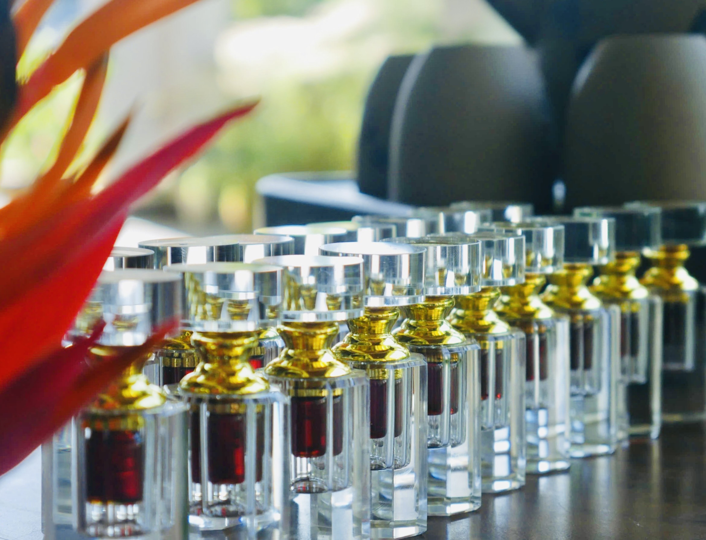 z5703591151646_b48d0bb3971a1df95743e26e1ce1d536